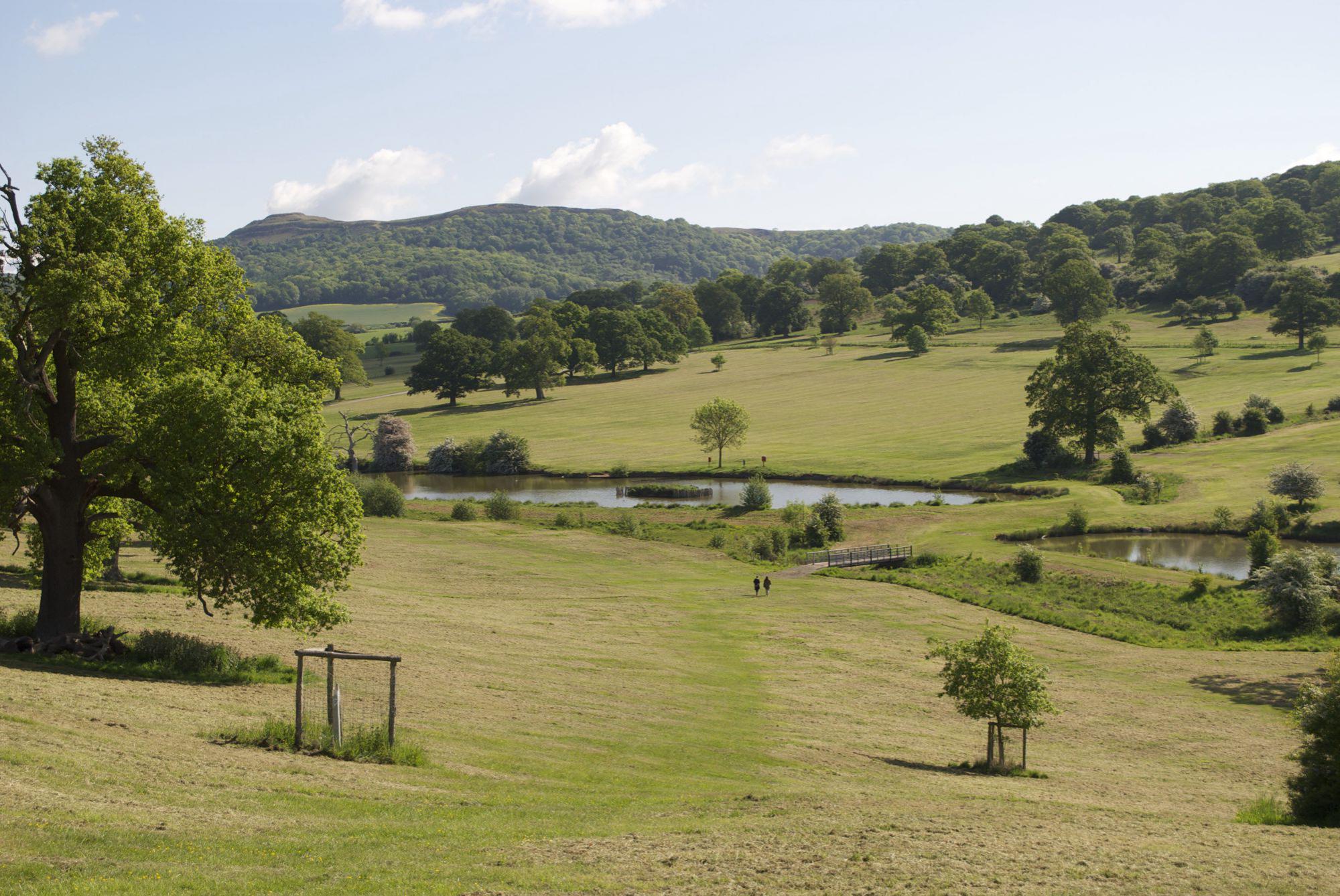 Ledbury Camping Campsites in Ledbury, Herefordshire